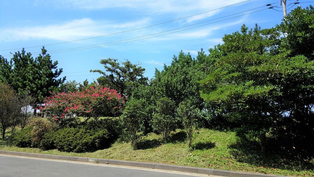 Cardinal House Villa เมืองเชจู ภายนอก รูปภาพ